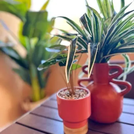 Cap Esterel Vue 5 Pers Premium Place Saint-Raphael (Var)