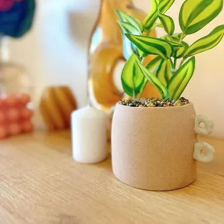 Apartment Cap Esterel Vue 5 Pers Premium Place *