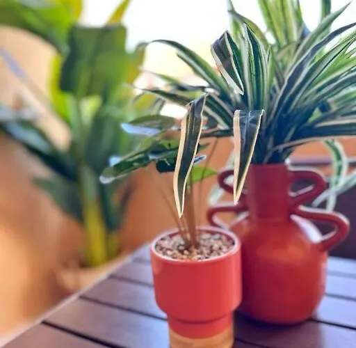 Cap Esterel Vue 5 Pers Premium Place Saint-Raphaël