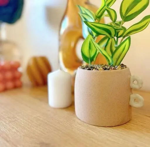 Lejlighed Cap Esterel Vue 5 Pers Premium Place *